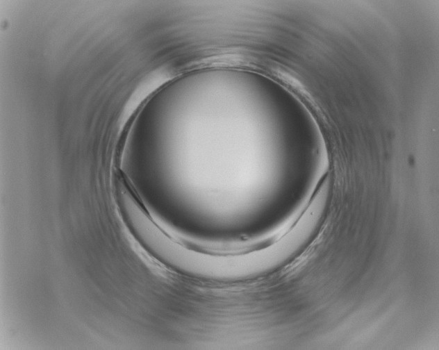 X0000071391426200607212226