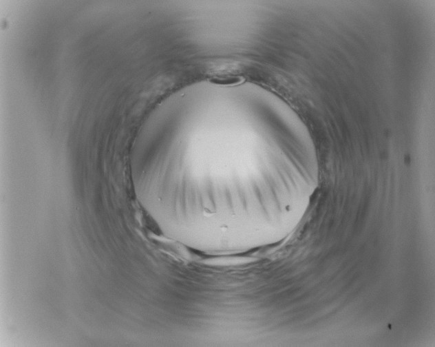 X0000071391441200607212226