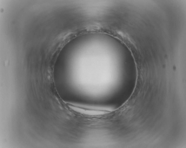X0000071391445200607212225