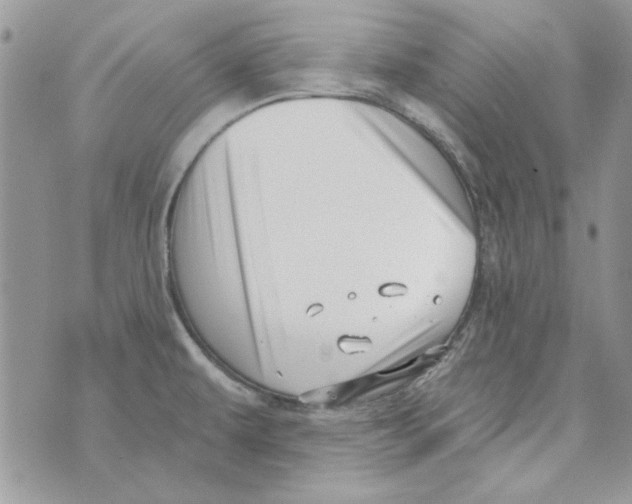 X0000071391479200607212225
