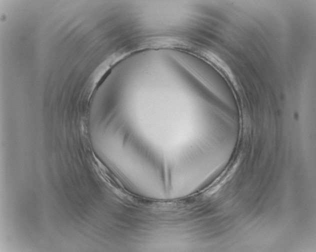 X0000071391481200607212225