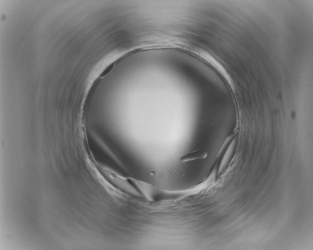 X0000071391485200607212225