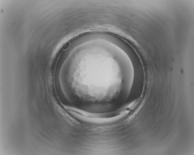 X0000071391506200607212224