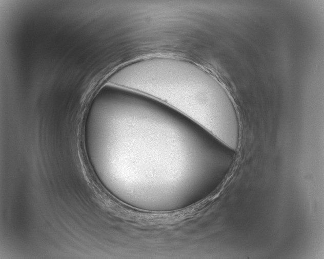 X0000071760001200606300928