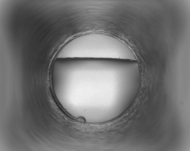 X0000071760002200606300928