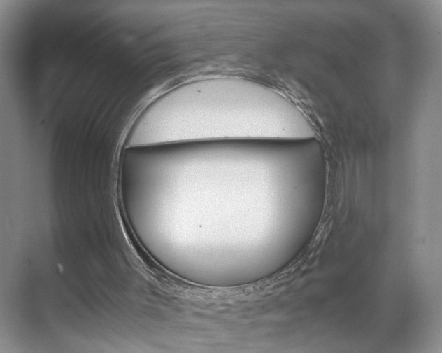 X0000071760003200606300928