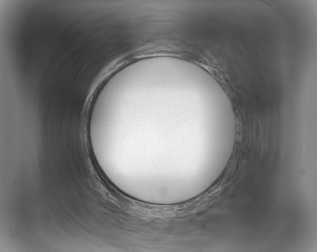 X0000071760004200606300928