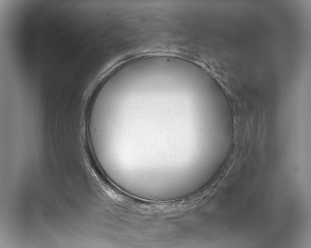 X0000071760005200606300928