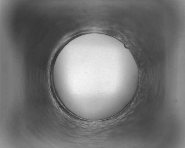 X0000071760006200606300928