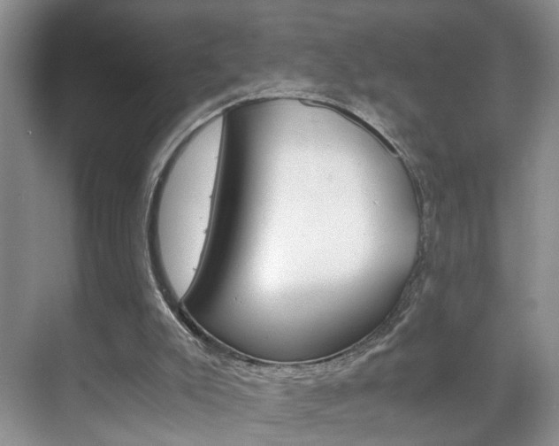 X0000071760007200606300928