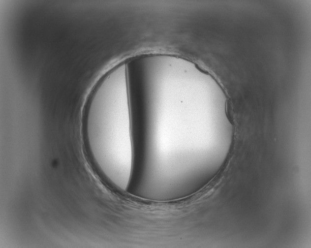 X0000071760008200606300928