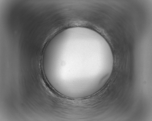 X0000071760010200606300928