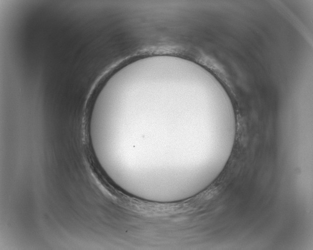 X0000071760012200606300928