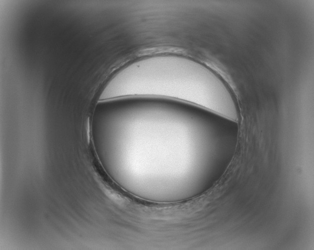 X0000071760013200606300928