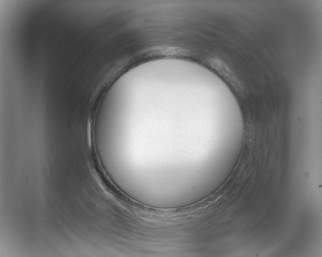 X0000071760014200606300928