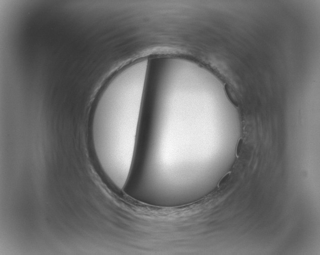 X0000071760015200606300928