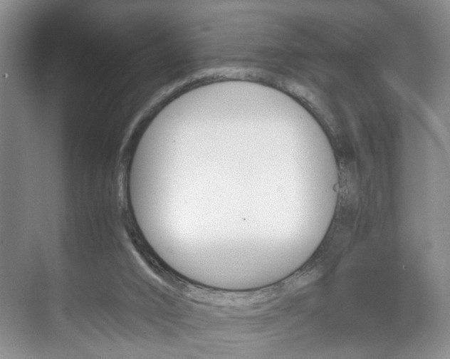 X0000071760016200606300927