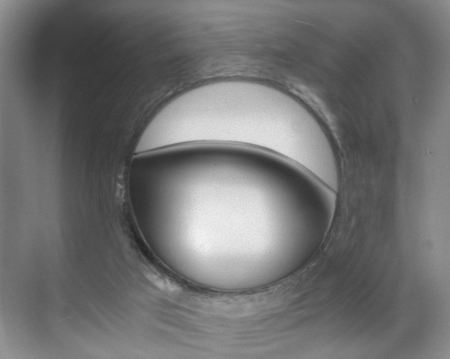 X0000071760017200606300927