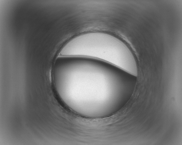 X0000071760019200606300927