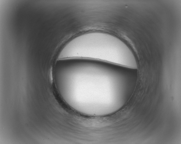 X0000071760020200606300927