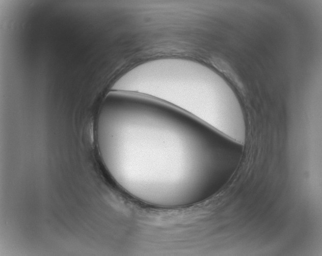 X0000071760021200606300927