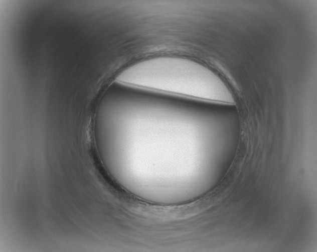 X0000071760023200606300927