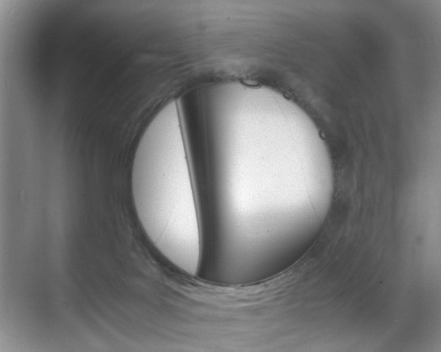 X0000071760027200606300927