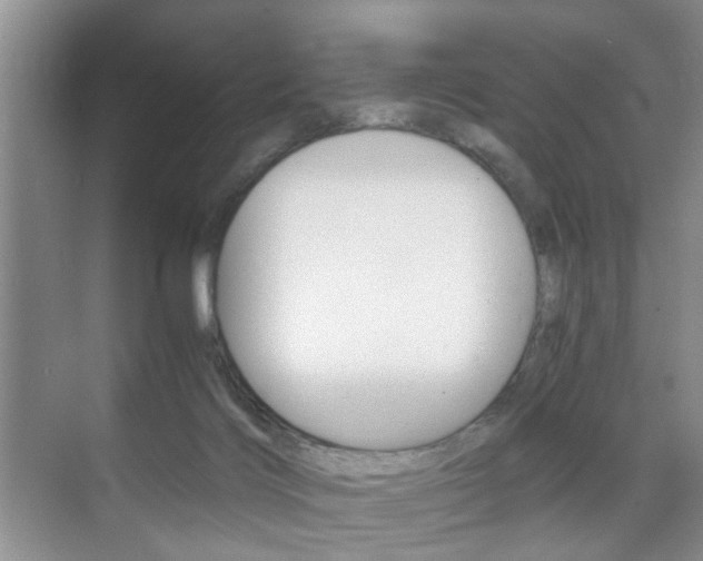 X0000071760028200606300927