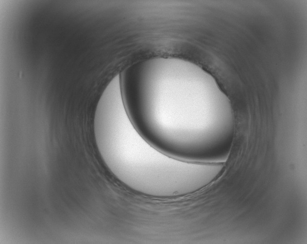 X0000071760029200606300927