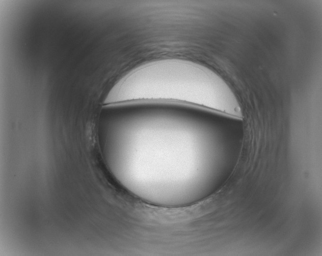 X0000071760031200606300927