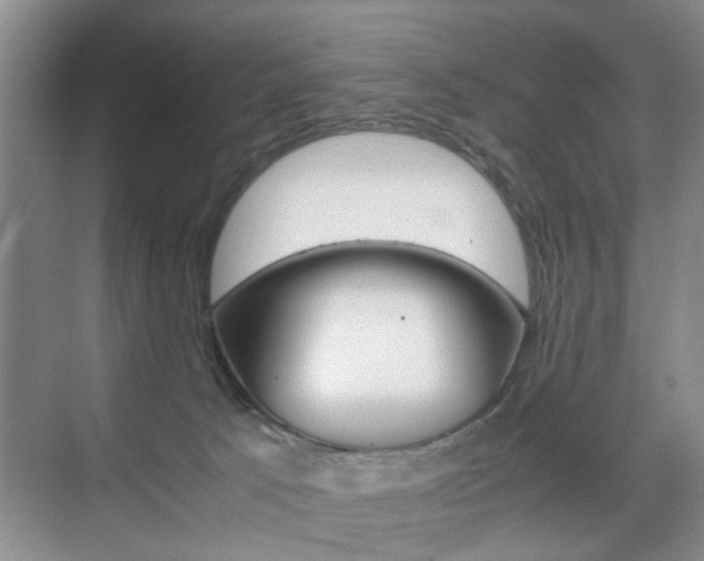 X0000071760033200606300927