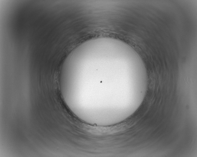 X0000071760034200606300927