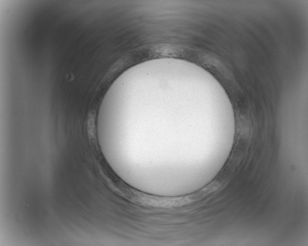 X0000071760036200606300927