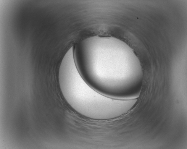 X0000071760037200606300927