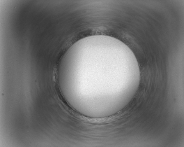 X0000071760038200606300927