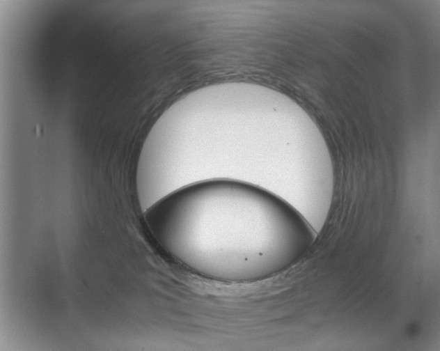 X0000071760039200606300927