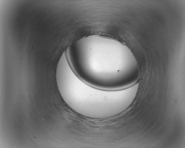 X0000071760041200606300927