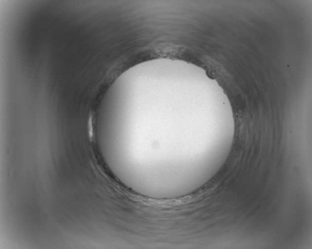 X0000071760042200606300927