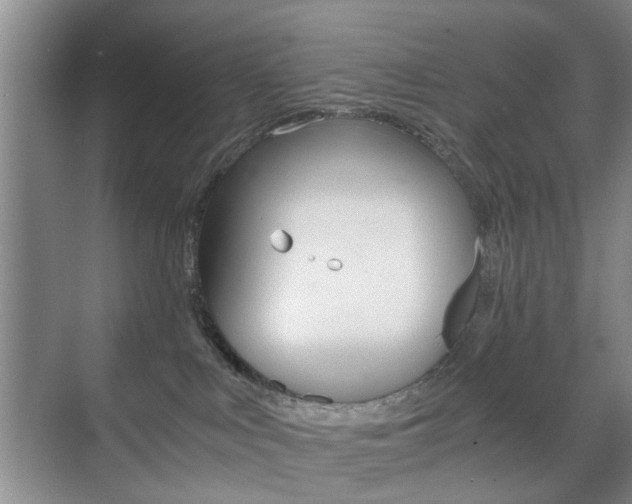 X0000071760043200606300927