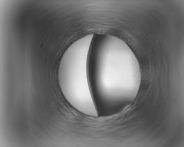 X0000071760045200606300927