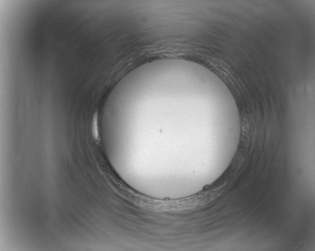 X0000071760046200606300927