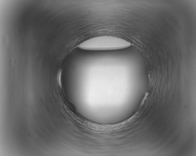 X0000071760047200606300927