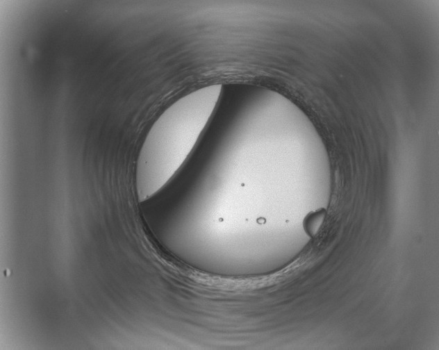 X0000071760048200606300927