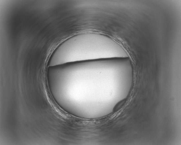 X0000071760049200606300926