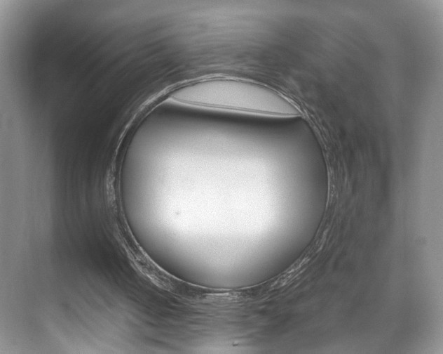 X0000071760050200606300926