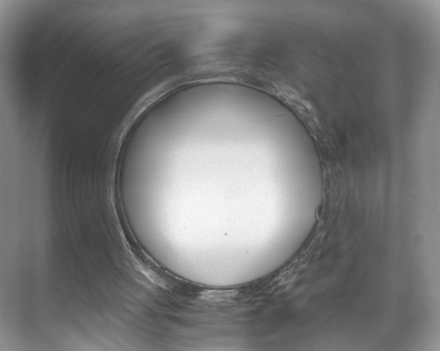 X0000071760051200606300926