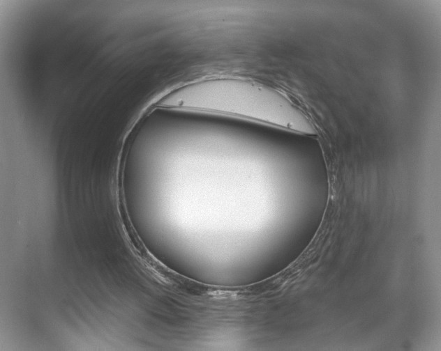 X0000071760052200606300926