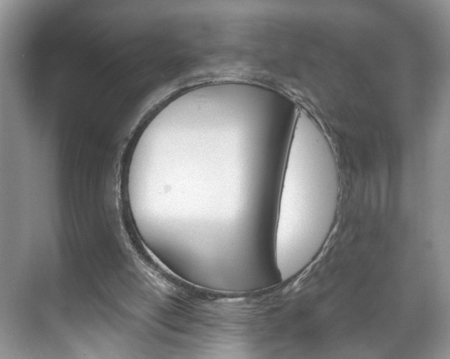 X0000071760054200606300926