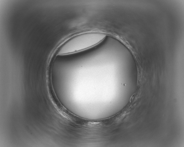 X0000071760055200606300926