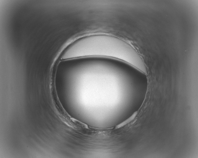 X0000071760056200606300926